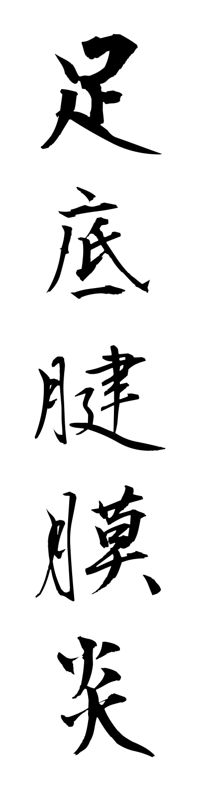 a1/a10019足底腱膜炎ashizokokemmakuen