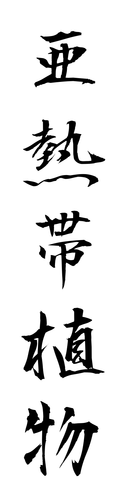 a1/a10033亜熱帯植物anettaishokubutsu