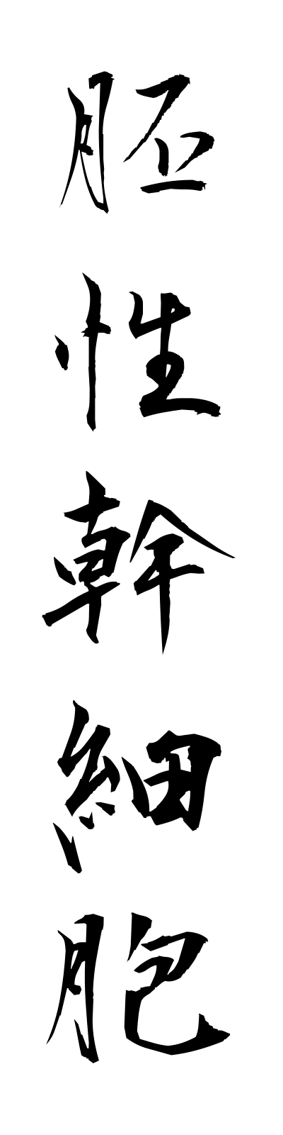 h1/h10008胚性幹細胞haiseikansaibo