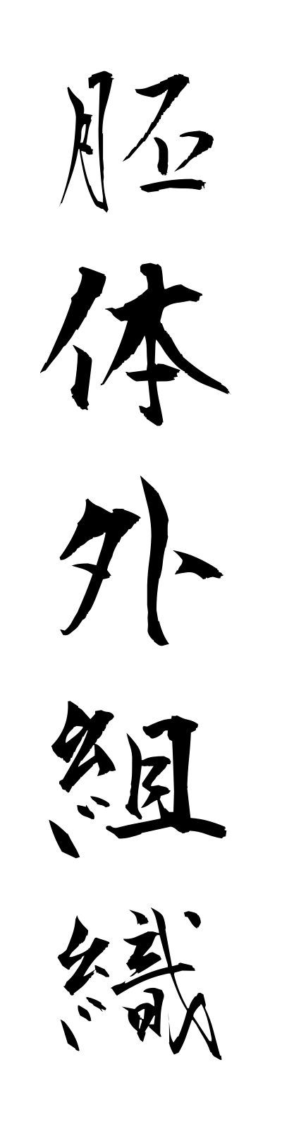 h1/h10010胚体外組織haitaigaisoshiki