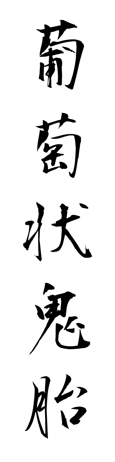 h3/h30098葡萄状鬼胎budojokitai