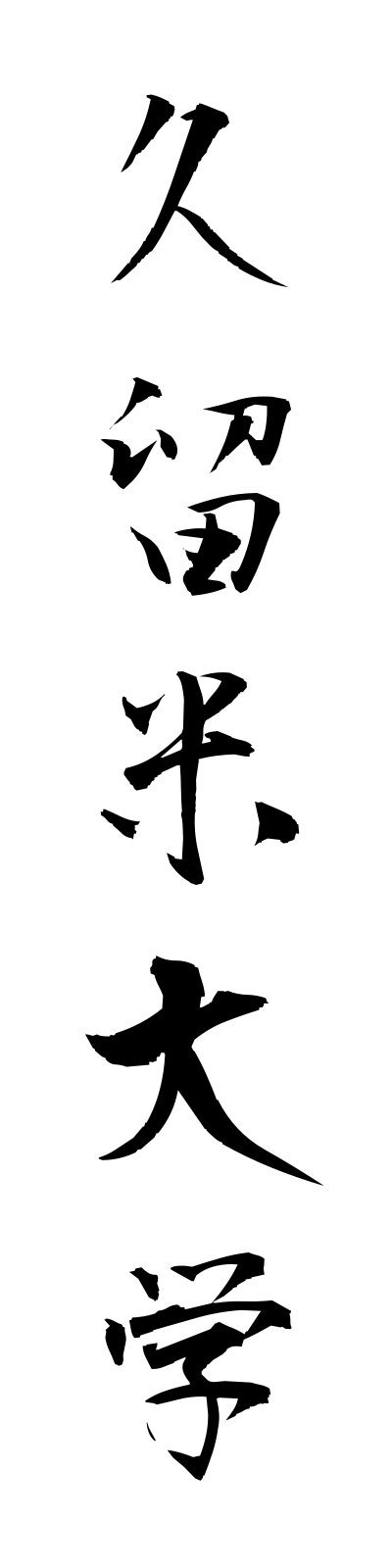 k3/k30047久留米大学kurumedaigaku