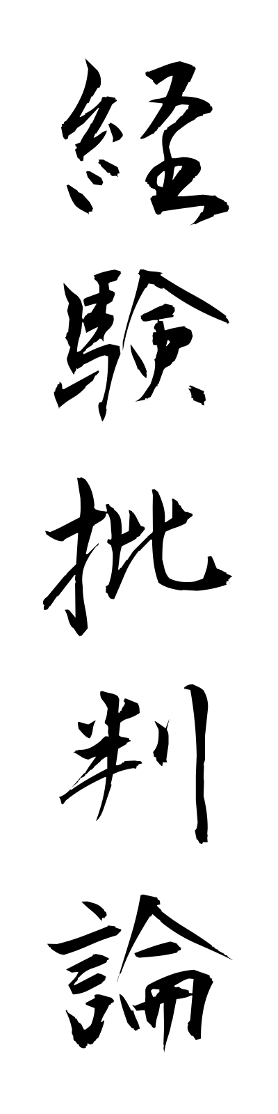 k4/k40009経験批判論keikenhihanron