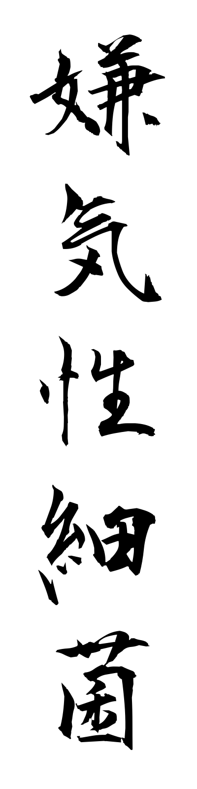 k4/k40102嫌気性細菌kenkiseisaikin