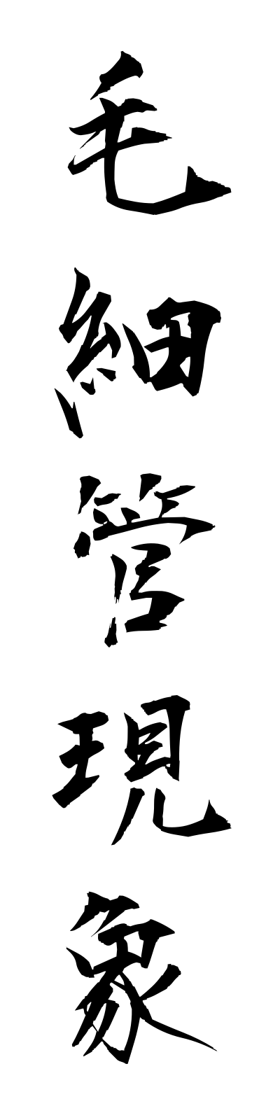 m5/m50002毛細管現象mosaikangensho