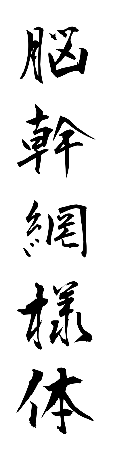 n5/n50003脳幹網様体nokammoyotai