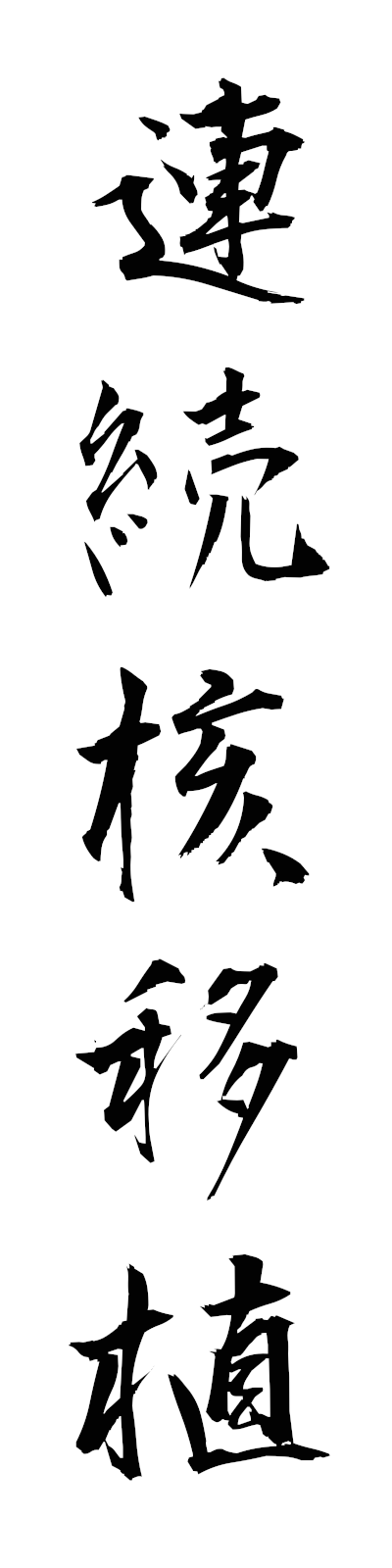 r4/r40023連続核移植renzokukakuishoku