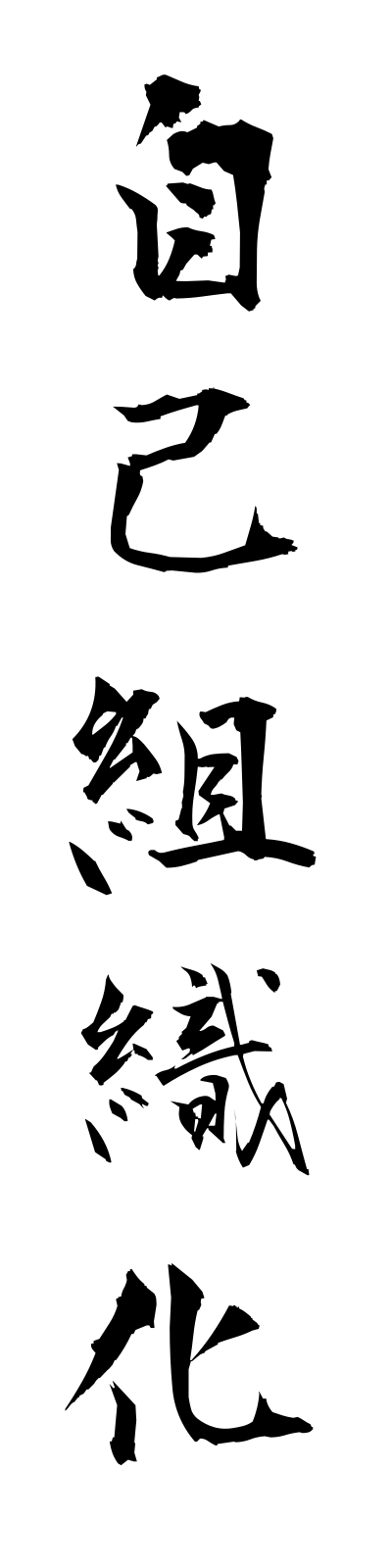 s2/s20087自己組織化jikososhikika