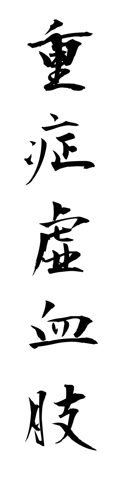 s2/s20312重症虚血肢jushokyoketsushi