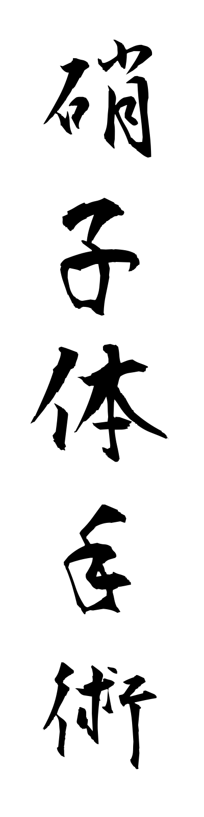 s2/s20462硝子体手術shoshitaishujutsu