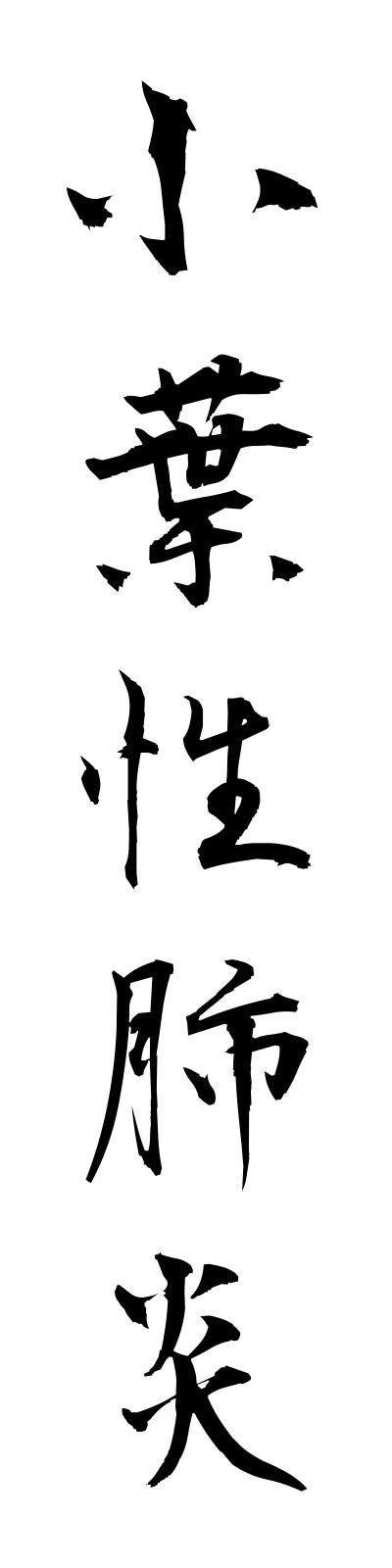 s2/s20515小葉性肺炎shoyoseihaien
