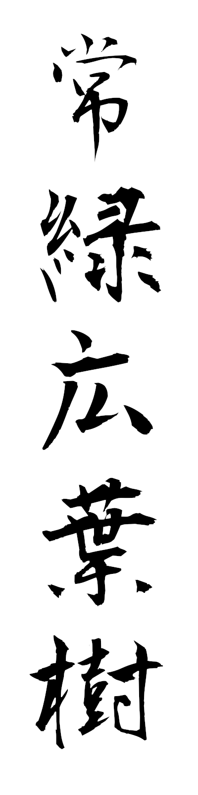s2/s20543常緑広葉樹joryokukoyoju