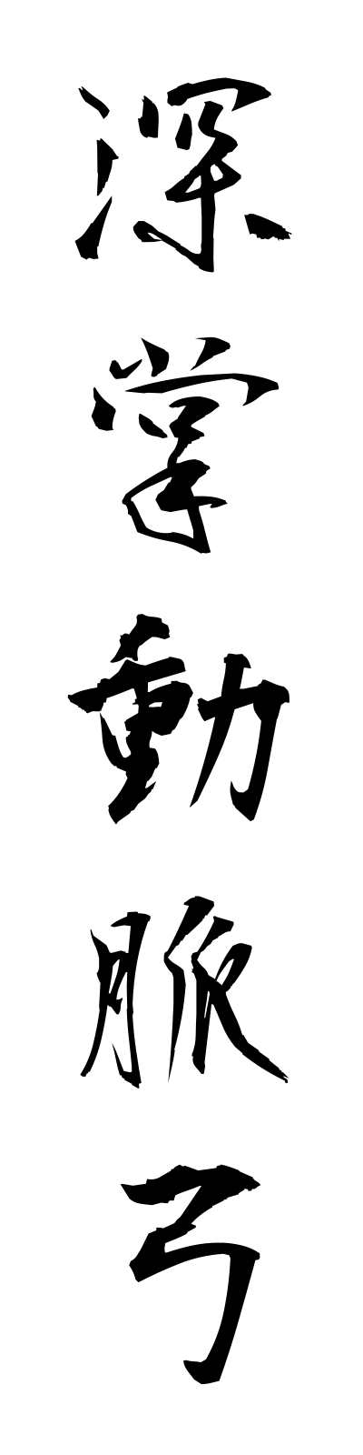 s2/s20626深掌動脈弓shinshodomyakukyu