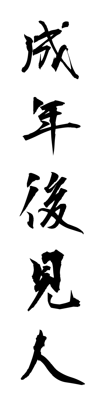 s4/s40087成年後見人seinenkokennin