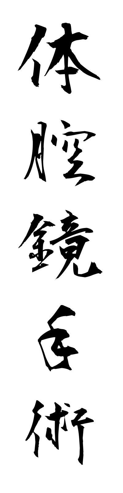 t1/t10024体腔鏡手術taikukyoshujutsu