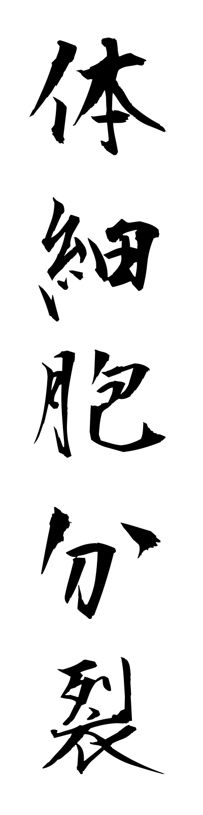 t1/t10031体細胞分裂taisaibobunretsu