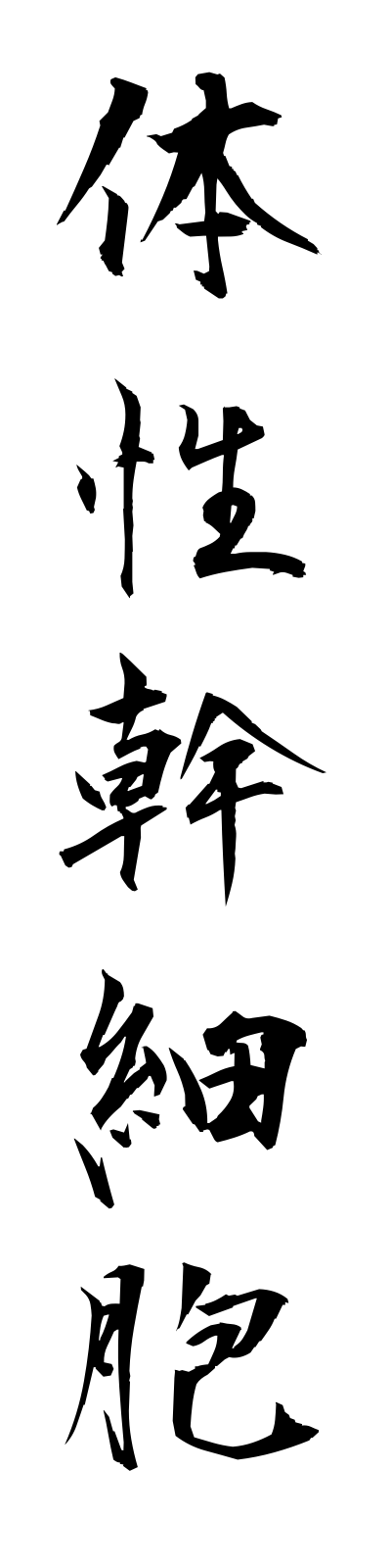 t1/t10055体性幹細胞taiseikansaibo