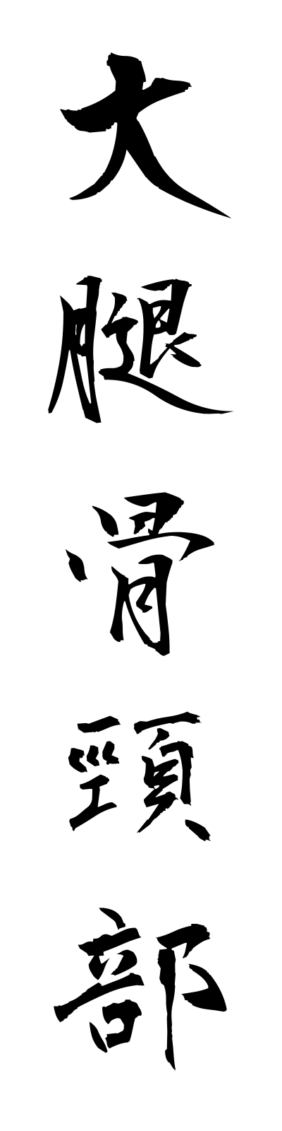 t1/t10059大腿骨頸部daitaikotsukeibu