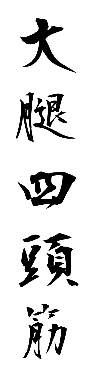 t1/t10060大腿四頭筋daitaishitokin