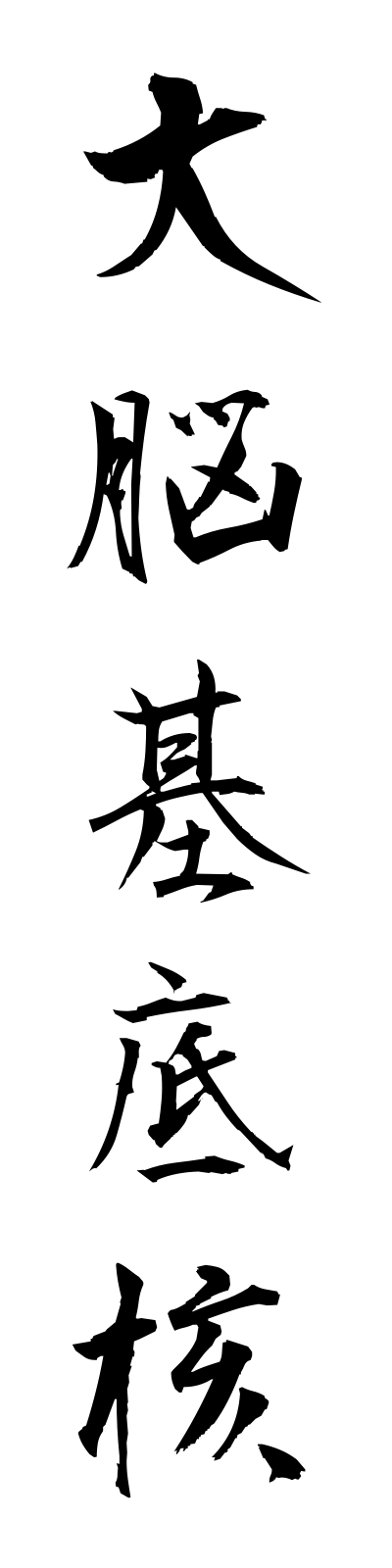 t1/t10080大脳基底核dainokiteikaku