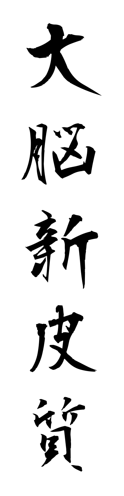 t1/t10081大脳新皮質dainoshinhishitsu