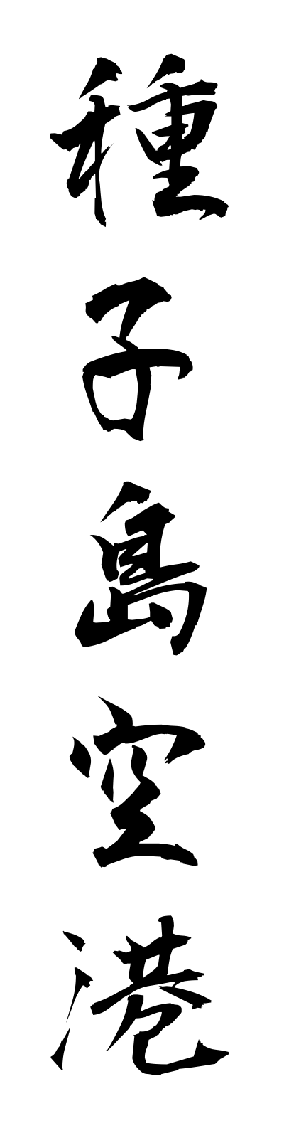 t1/t10162種子島空港tanegashimakuko