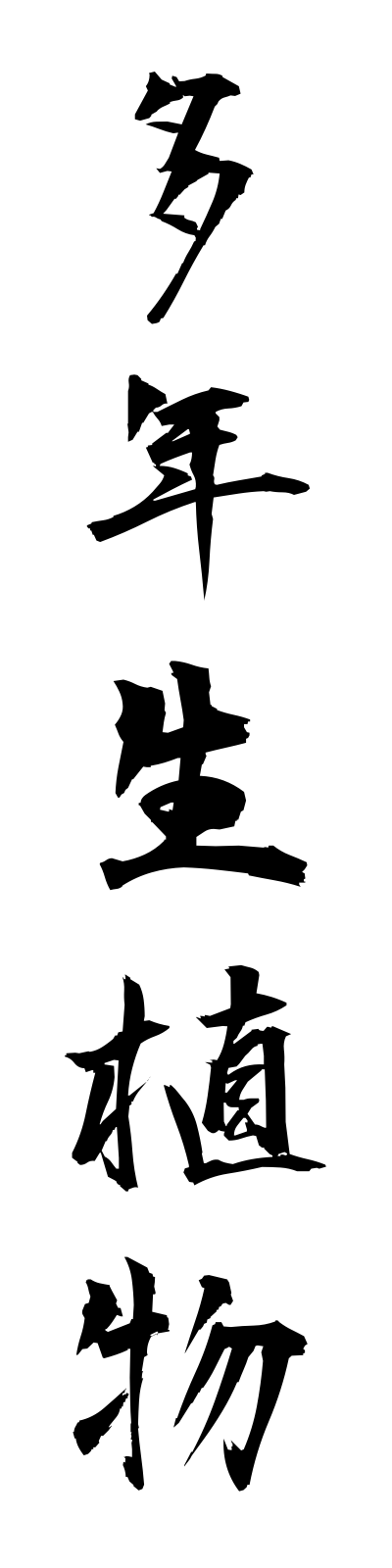 t1/t10163多年生植物tanenseishokubutsu