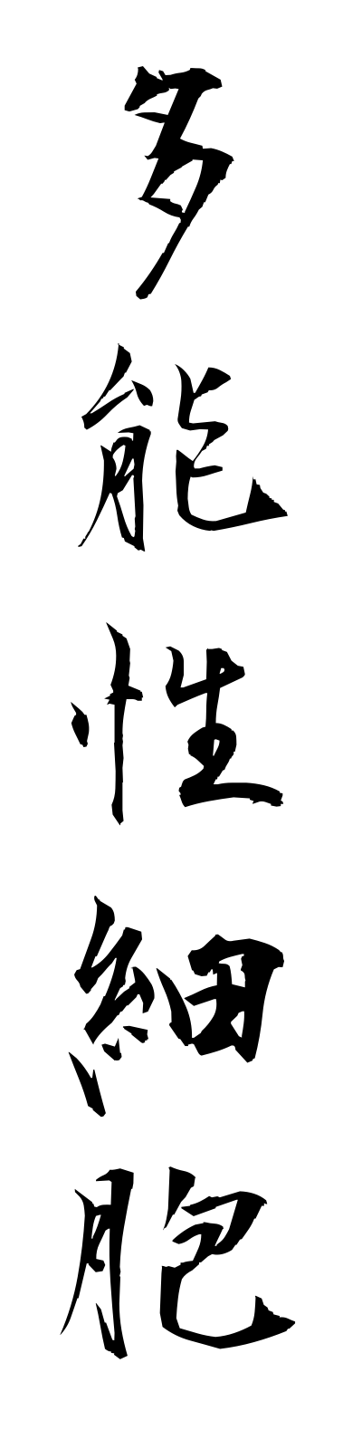 t1/t10165多能性細胞tanoseisaibo
