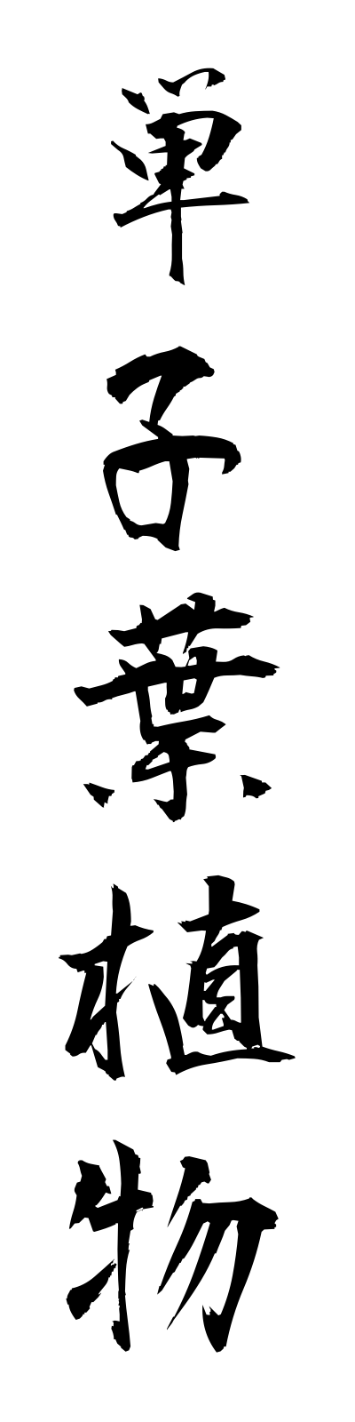 t1/t10194単子葉植物tanshiyoshokubutsu