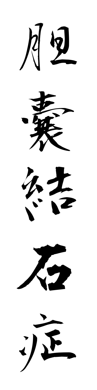 t1/t10210胆嚢結石症tannokessekisho