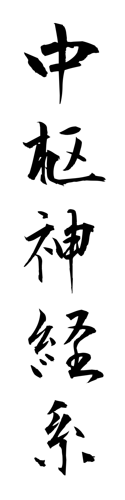 t2/t20094中枢神経系chusushinkeikei