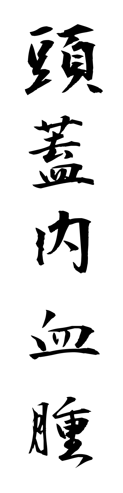 t5/t50009頭蓋内血腫togainaikesshu