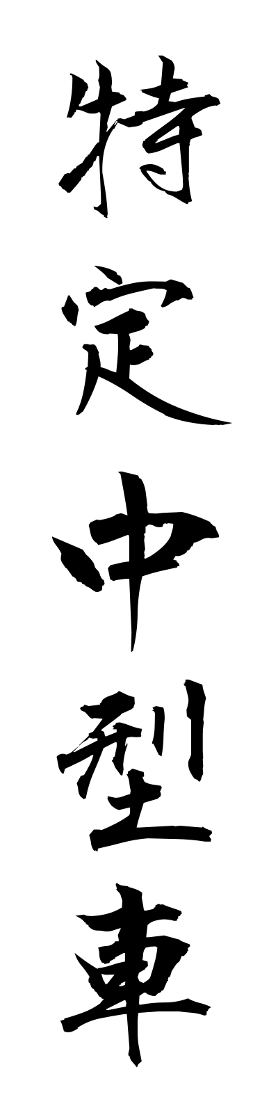 t5/t50124特定中型車tokuteichugatasha