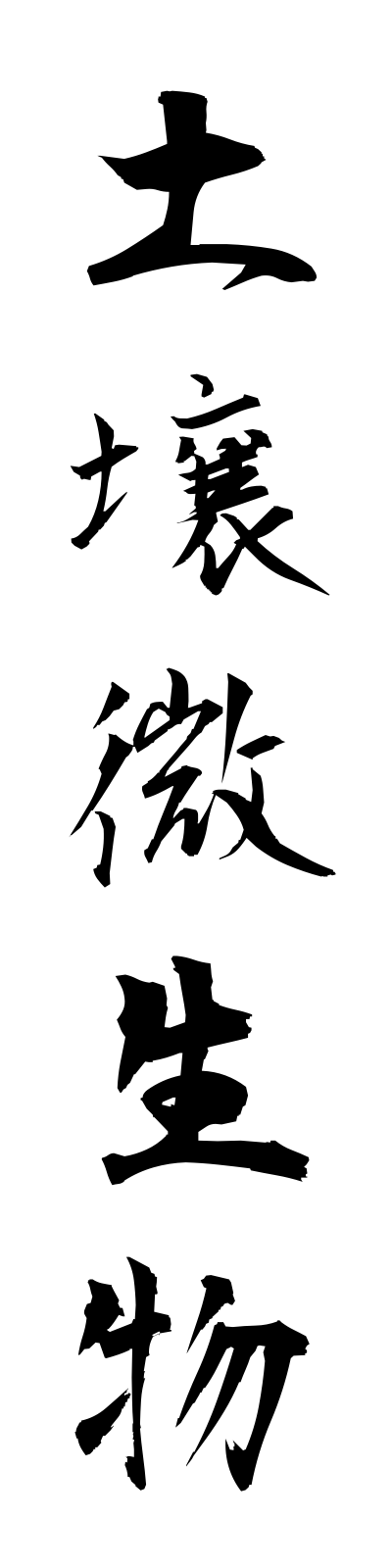 t5/t50163土壌微生物dojobiseibutsu