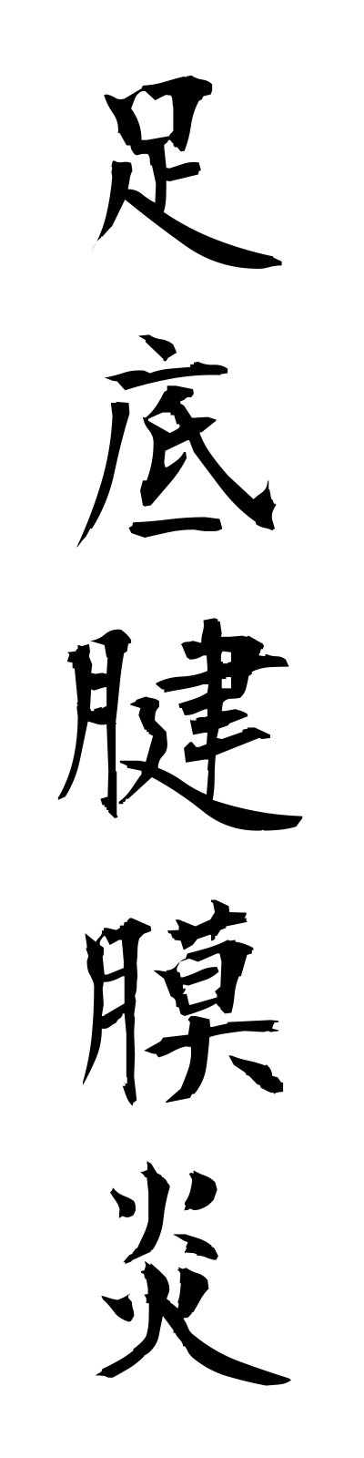 a1/a10019足底腱膜炎ashizokokemmakuen