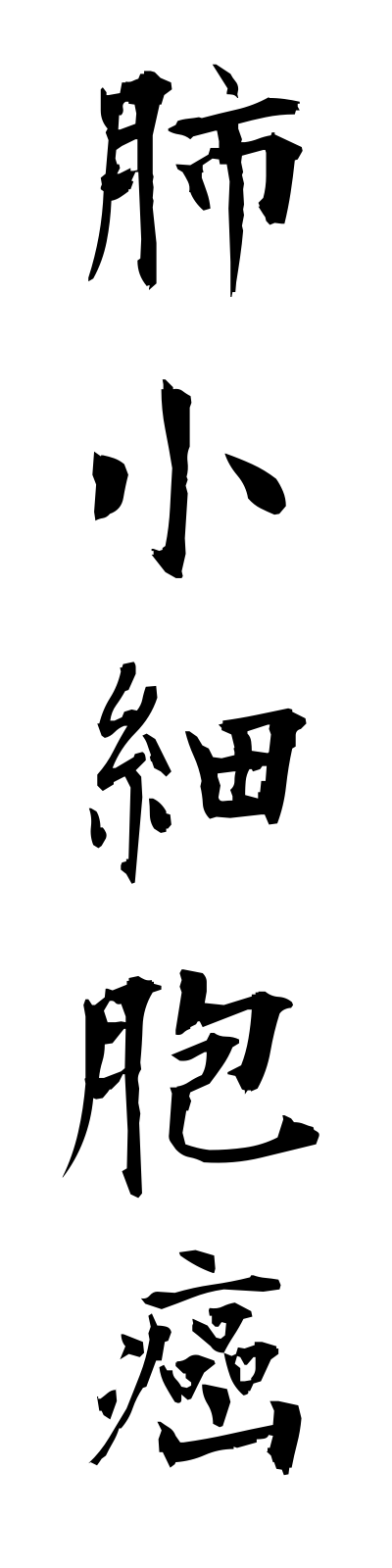 h1/h10007肺小細胞癌haishosaibogan