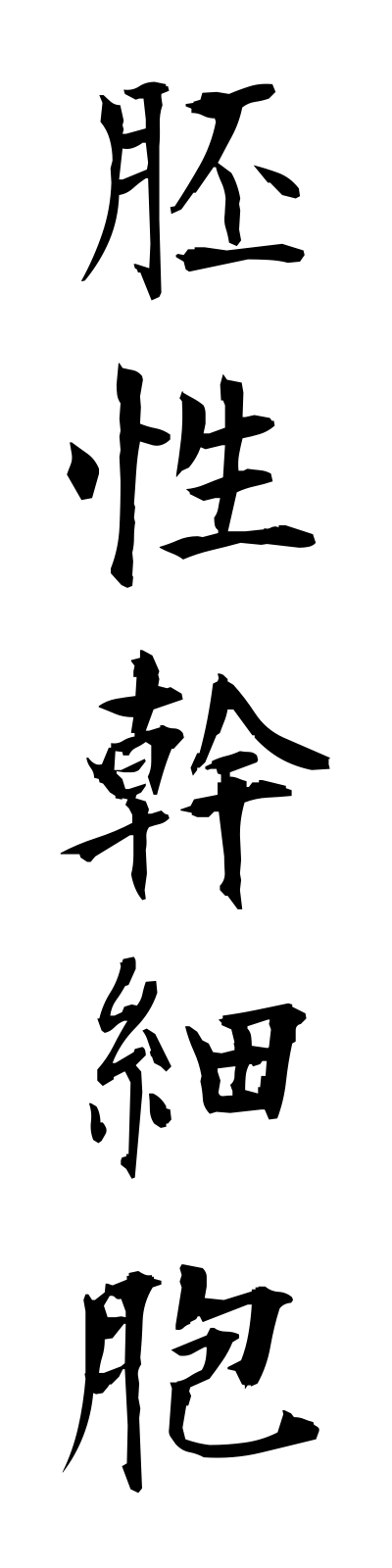 h1/h10008胚性幹細胞haiseikansaibo