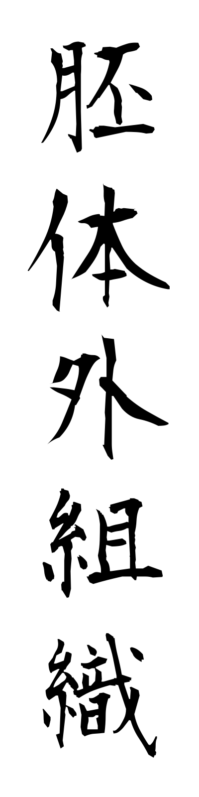 h1/h10010胚体外組織haitaigaisoshiki