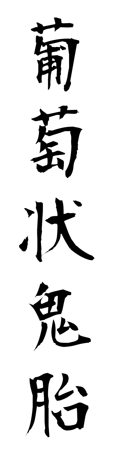 h3/h30098葡萄状鬼胎budojokitai