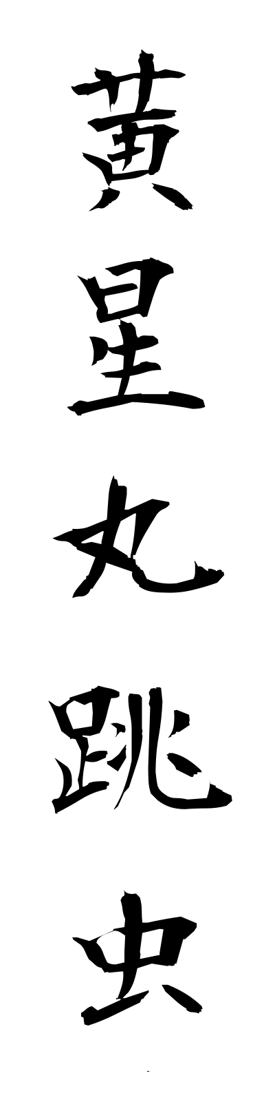 k2/k20091黄星丸跳虫kiboshimarutobimushi