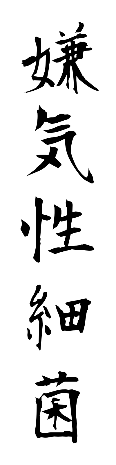 k4/k40102嫌気性細菌kenkiseisaikin