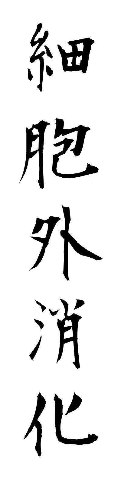 s1/s10065細胞外消化saibogaishoka