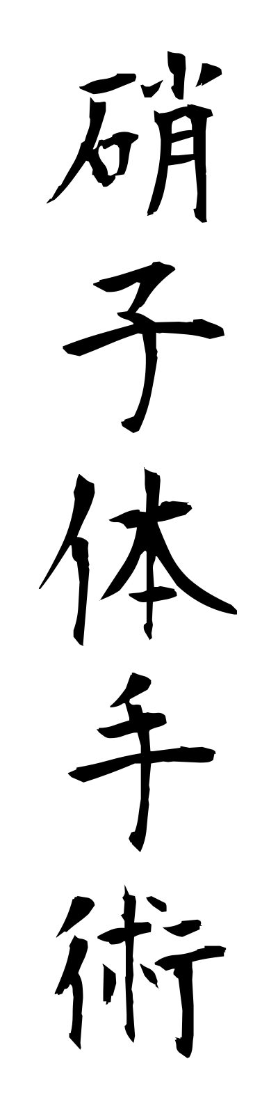 s2/s20462硝子体手術shoshitaishujutsu