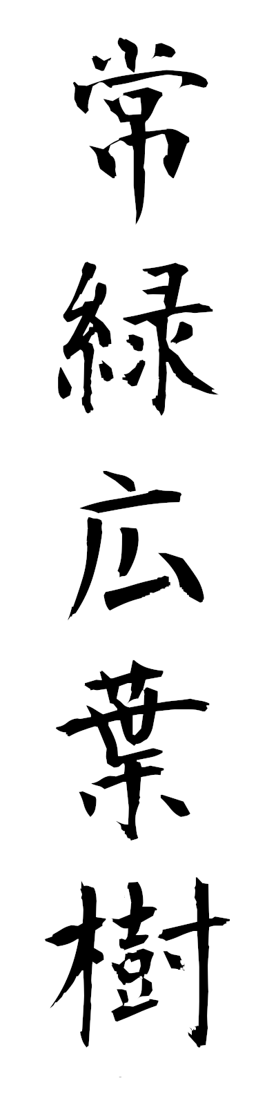 s2/s20543常緑広葉樹joryokukoyoju