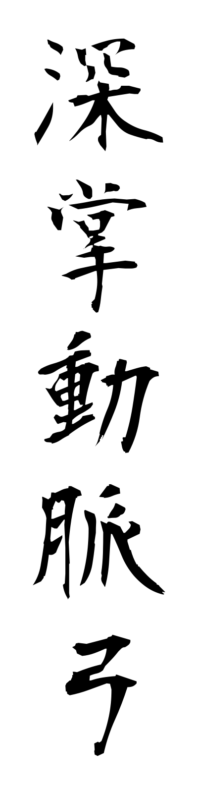 s2/s20626深掌動脈弓shinshodomyakukyu