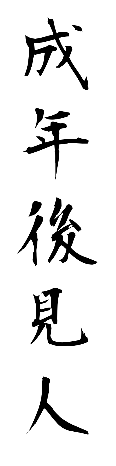 s4/s40087成年後見人seinenkokennin