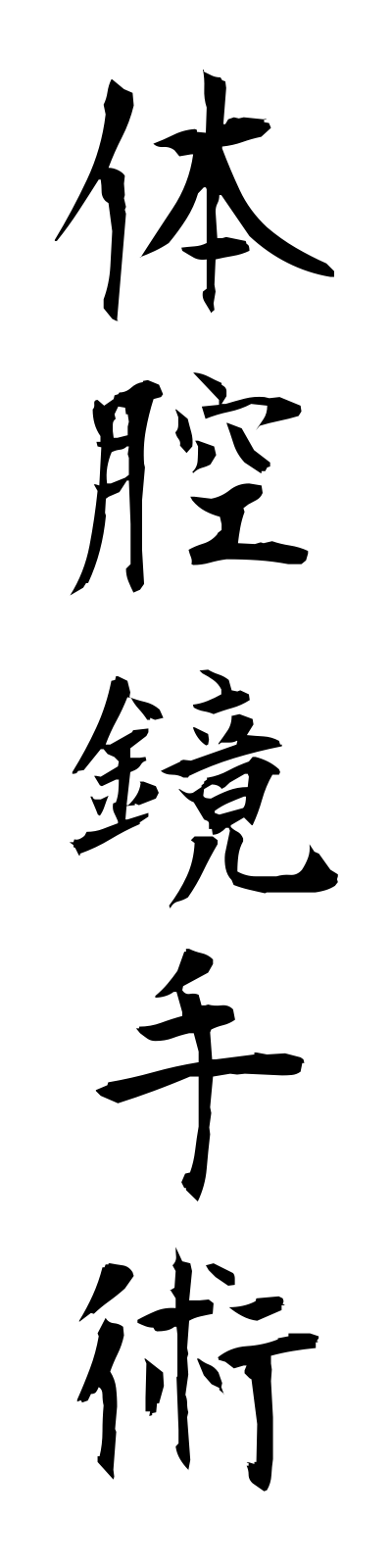 t1/t10024体腔鏡手術taikukyoshujutsu