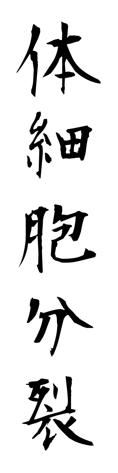 t1/t10031体細胞分裂taisaibobunretsu