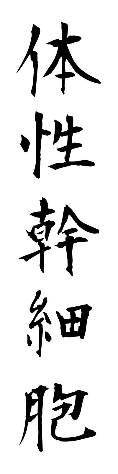 t1/t10055体性幹細胞taiseikansaibo