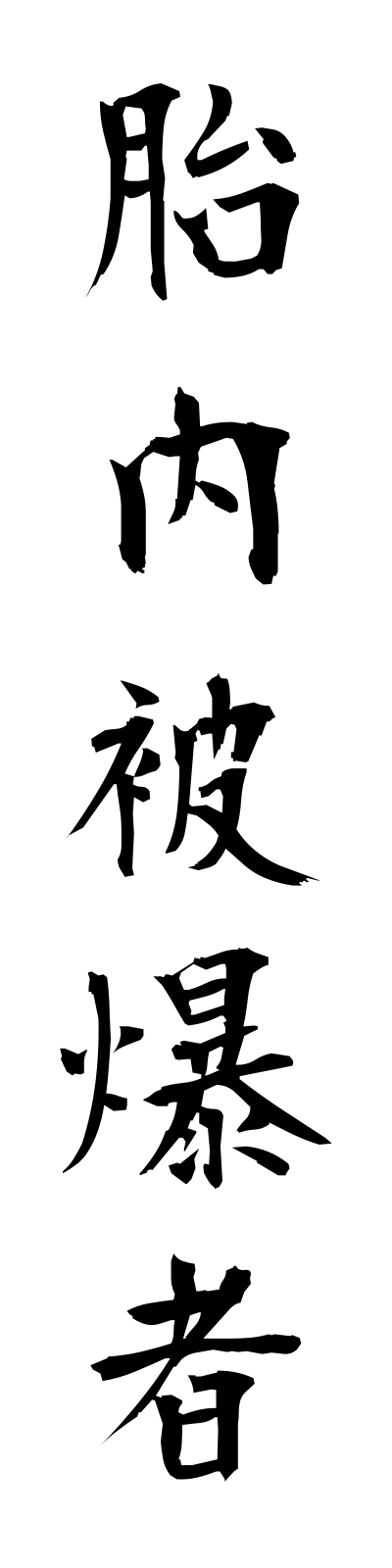 t1/t10069胎内被爆者tainaihibakusha